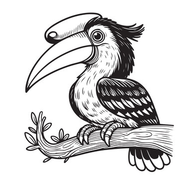 recommend clip art: Line art of hornbill bird cartoon perched on branch vector