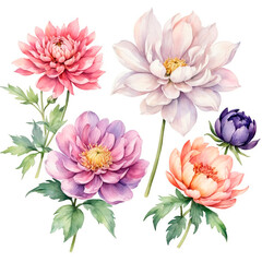 Obraz premium bouquet of pink flowers