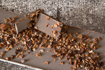 Dark chocolate with dried raspberries, sour cherries and chopped cocoa beans