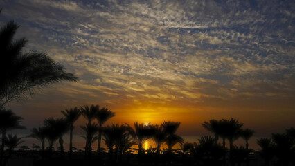 Palms on resort beach and sunrise over sea