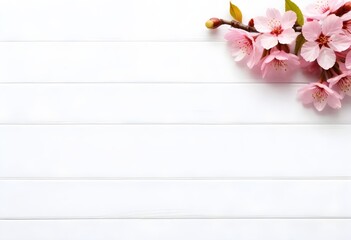 Naklejka na ściany i meble Pink cherry blossoms on blue wooden planks background