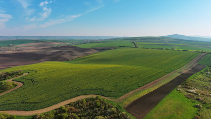 Fototapeta na wymiar Green wavy hills with agricultural fields