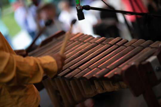 Marimba Xilofono
