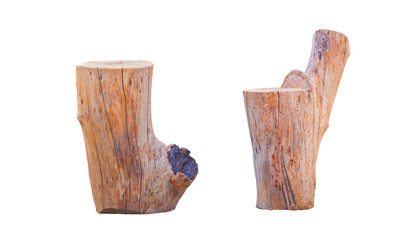 Two decorative the old tree stumps for garden decoration isolated on transparent background, png file