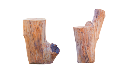 Two decorative the old tree stumps for garden decoration isolated on transparent background, png file