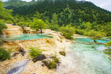 Huanglong colorful pond and spruce trees in Sichuan, China