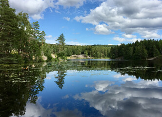 Fototapeta na wymiar Ulsrudvann lake in the summer, Oslo, Norway