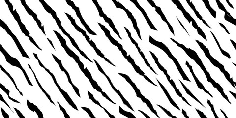 Cute Abstract Background. White Line Tiger. White Tropical Skin. Nature Snake Leopard. Black Jungle Zebra. African Animal Paint. Vector Pattern. Abstract Grunge Texture. Stripe Animal. Stripe Pattern