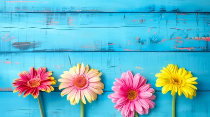 Foto op Plexiglas Beautiful pink and yellow gerbera daisies on blue wooden background © Andy