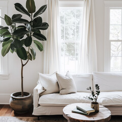 Living room with rubber tree