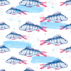 Seamless vintage watercolor pattern. Watercolor drawing fish perch.
water splash, paint. Underwater world, drawing of fish in vintage style. Water fish splash, paint, trendy background.  camouflage