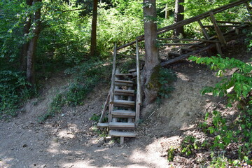 wooden old hiking trail stairway