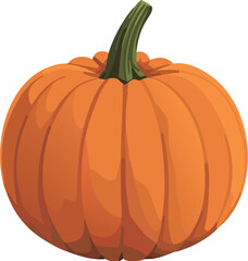 Isolated pumpkin vector