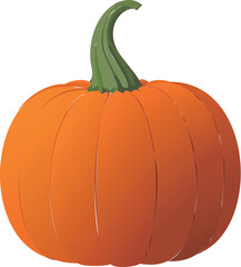 Isolated pumpkin vector
