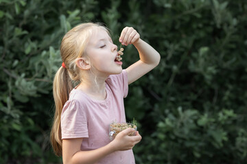 Little girl eating freshly picked currants