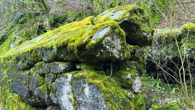 Arpad Line bunker - World War I era in a defensive position. It was blown up after the capture; there are hundreds of such bunkers in the Carpathians