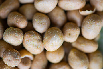 Close up of salty nuts