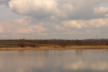 A river with grass and trees in the background