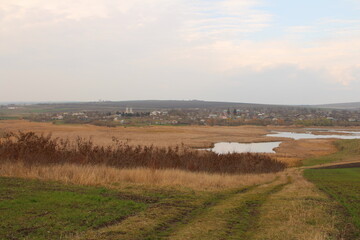 Fototapeta premium A grassy field with a body of water in the distance
