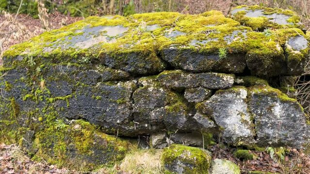 Arpad Line bunker - World War I era in a defensive position. It was blown up after the capture; there are hundreds of such bunkers in the Carpathians