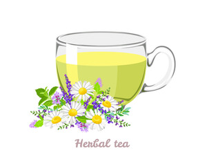Herbal tea in transparent glass cup. Vector cartoon illustration of healthy drink and fresh flowers.