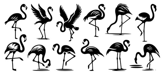 Capture the elegance of flamingos with this set of silhouettes, featuring various poses from standing on one leg to flying. Designed in a minimalist style.