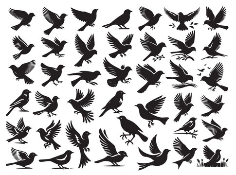This set features a variety of black bird silhouette designs, capturing birds in different poses such as flying, perching, and diving. Designed in a minimalist black and white style