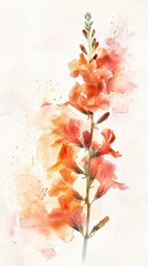 Watercolor snapdragon illustration where the fiery hues meet the softness of watercolor magic