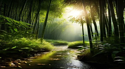 Foto auf Acrylglas Antireflex bamboo forest at sunset © Asadali