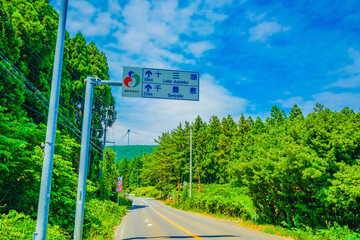 道路標識と自然