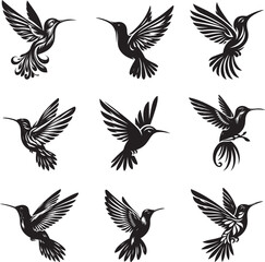 Humming bird silhouette vector illustration set