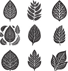 Leaf silhouette vector illustration set