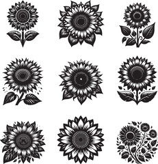 Sun flower silhouette vector illustration set