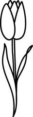 Tulip flower spring holiday decoration.