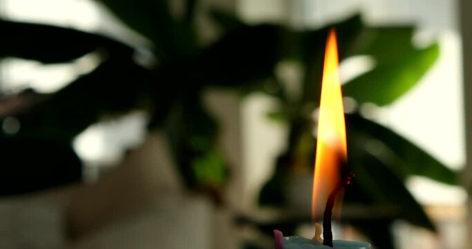 Candle light infront of green background with a banana plant. Symbolic representation of a cozy atmosphere