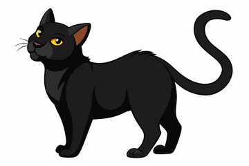The black cat sat with its back turned and looked at it. on a white background