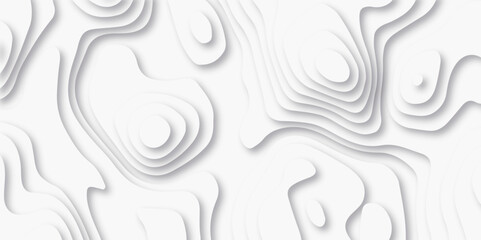 Abstract white paper cut background with lines. Background of the topographic map. White wave paper curved reliefs abstract background. Realistic papercut decoration textured with wavy layers. - obrazy, fototapety, plakaty