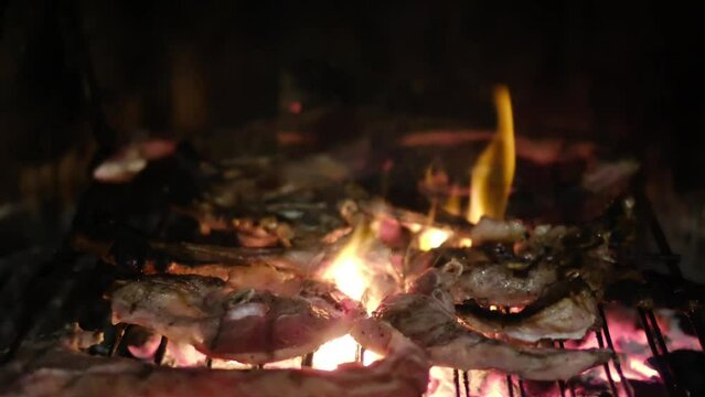 Delicious barbecue meat sizzling over an open flame, creating a mouthwatering aroma and showcasing the artistry of outdoor cooking