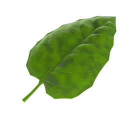 A leaf is shown in a green color, Green leaf, Earth Day, the importance of loving nature., isolate on white background.