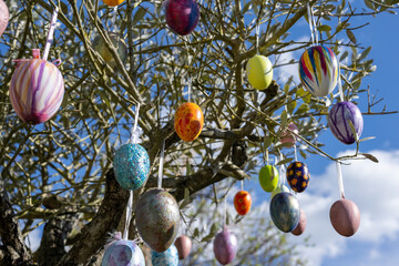 Colorful easter eggs hanging in an olive tree in front of blue sky on a sunny day
