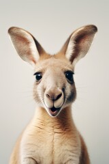 A minimalistic cute kangaroo with a funny expression  AI generated illustration