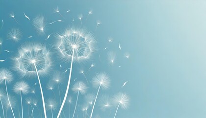 dandelion fluff background for aesthetic minimalism style background light blue color wallpaper with elegant and light flying fluffs on empty wall fragile lightweight and beautiful nature backdrop
