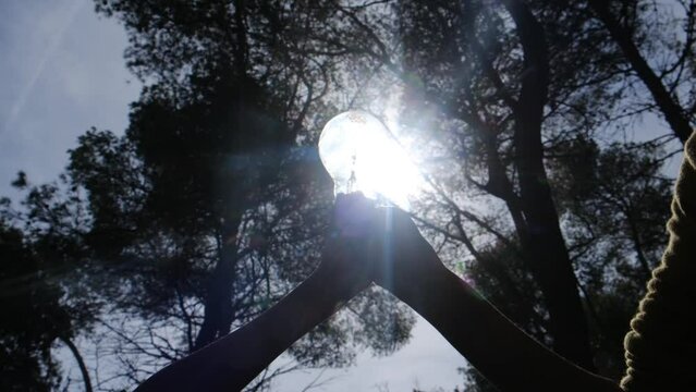 Solar energy is an idea found in nature, depicted by a two  hands holding a light bulb. It symbolizes eco-friendly energy saving, alternative solar energy, renewable resources, and electricity. 