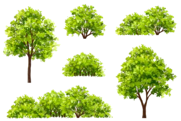 Deurstickers Vertor set of green tree,plants side view for landscape elevations,element for backdrop,eco environment concept design,watercolor greenery scene © Wattanapong