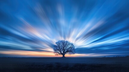 Samotne drzewo na tle niebieskiego nieba o zmierzchu w stylu dramatycznego long exposure i low angle. Kontrast między ciemnym drzewem a jaskrawym niebem. - obrazy, fototapety, plakaty