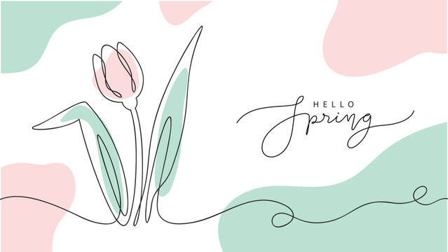 hello spring card with hand drawn tulip in one line style and lettering, vector illustration on white background,template for greeting cards,banner,wallpaper,invitation