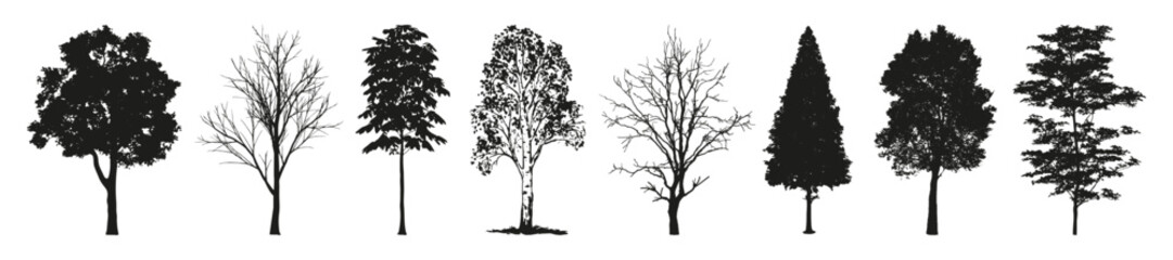 Set of silhouettes of trees with and without foliage in black for nature template. Flat  style. Vector illustration.