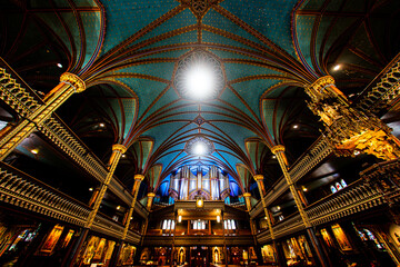 聖堂の壮麗な天井