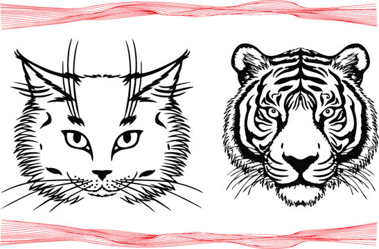 Tiger and cat head silhouettes in editable vector. Cat from Asia vs animal king lion pride of Africa. Wildlife predator for online game designing, poster or banner wildlife. eps 10