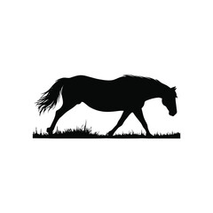 horse silhouette